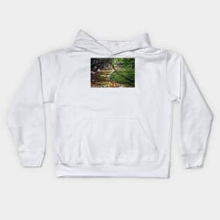 Myers Big Island State Park Kids Hoodie